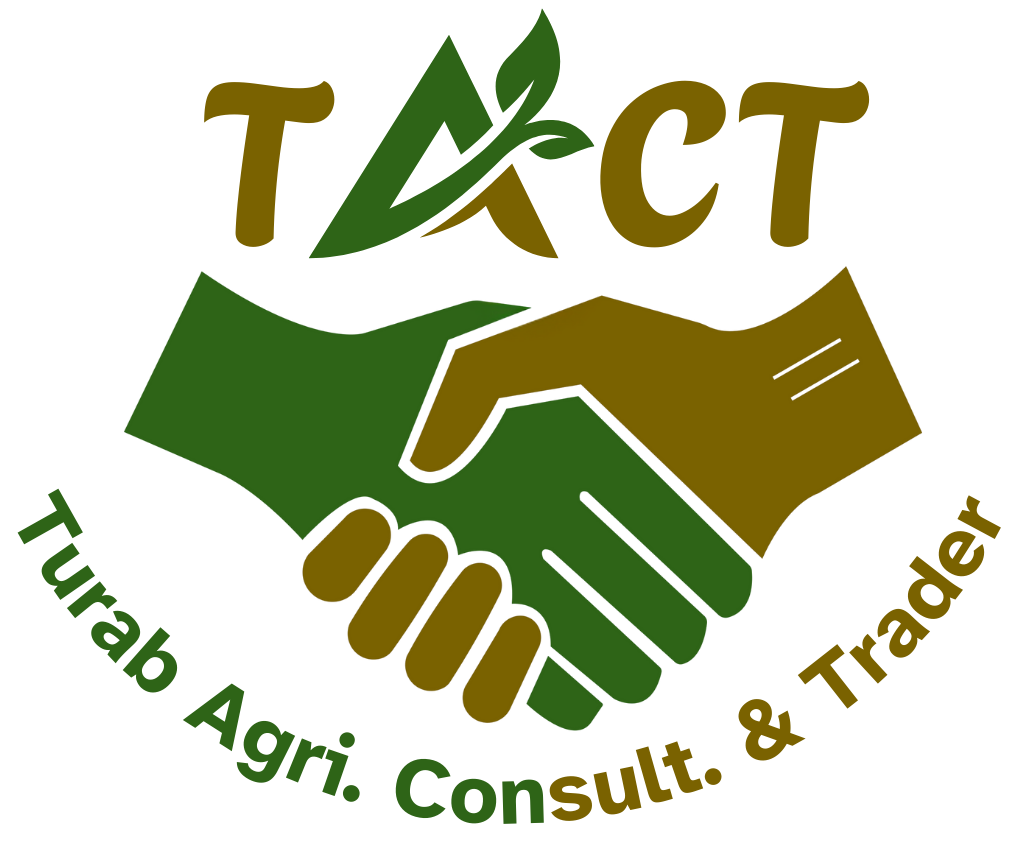 TACT Logo